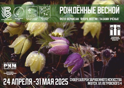 Приглашаем на фотоинсталляцию «Рождённые весной: флора Якутии глазами учёных»